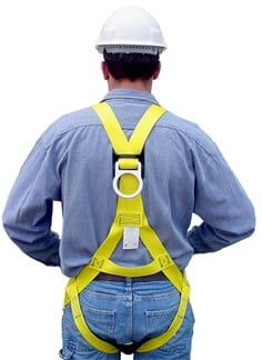A person wearing a safety harness